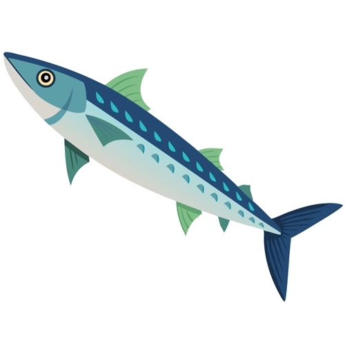 Under the Sea Theme Sardine Transparent Sticker